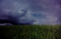 /album/fotos-europa/a1992-zurich-fietsen-small-jpg/